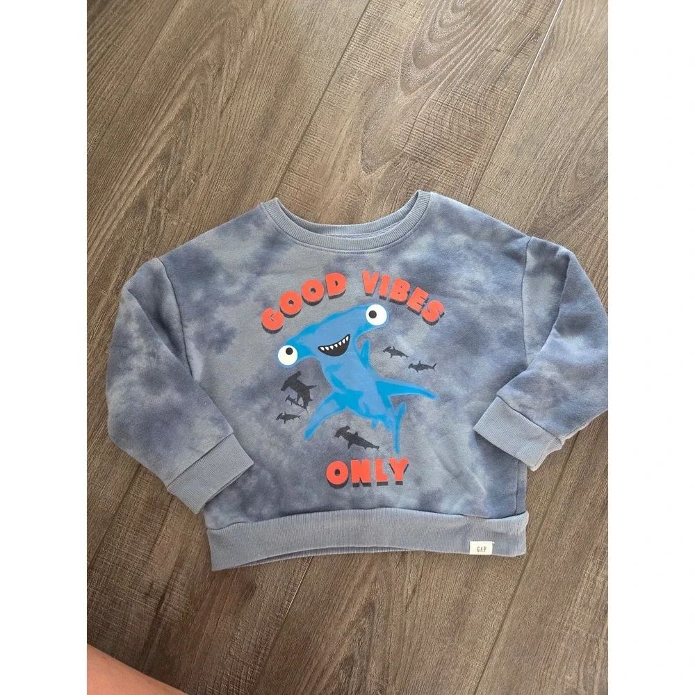 Baby gap toddler‎ boy sweatshirt 2t